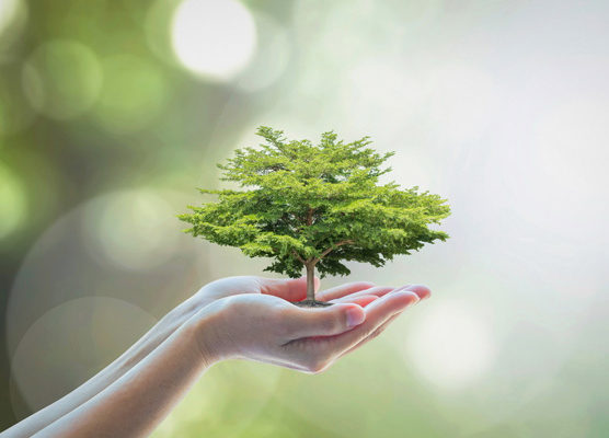 engenharia-ambiental